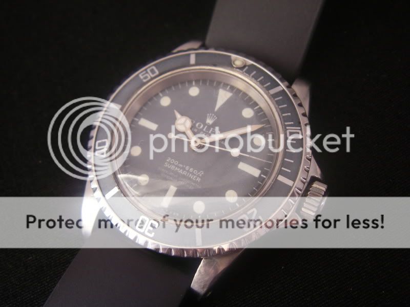 IMGP01052.jpg