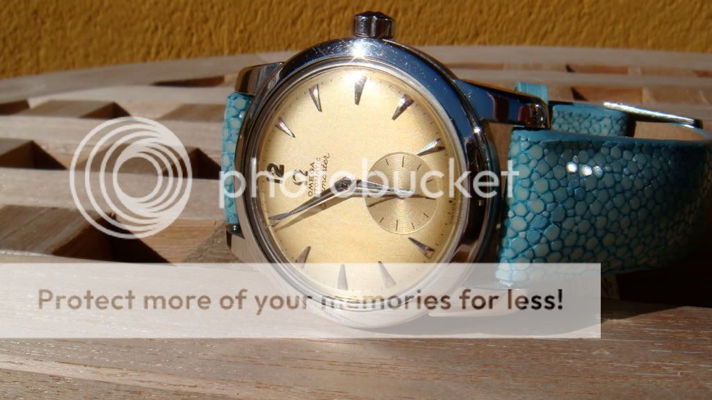 DSC00989.jpg