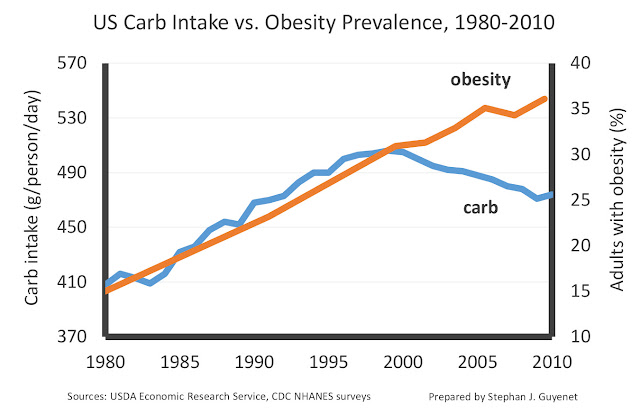 Carbs%2Bvs.%2Bobesity.jpg