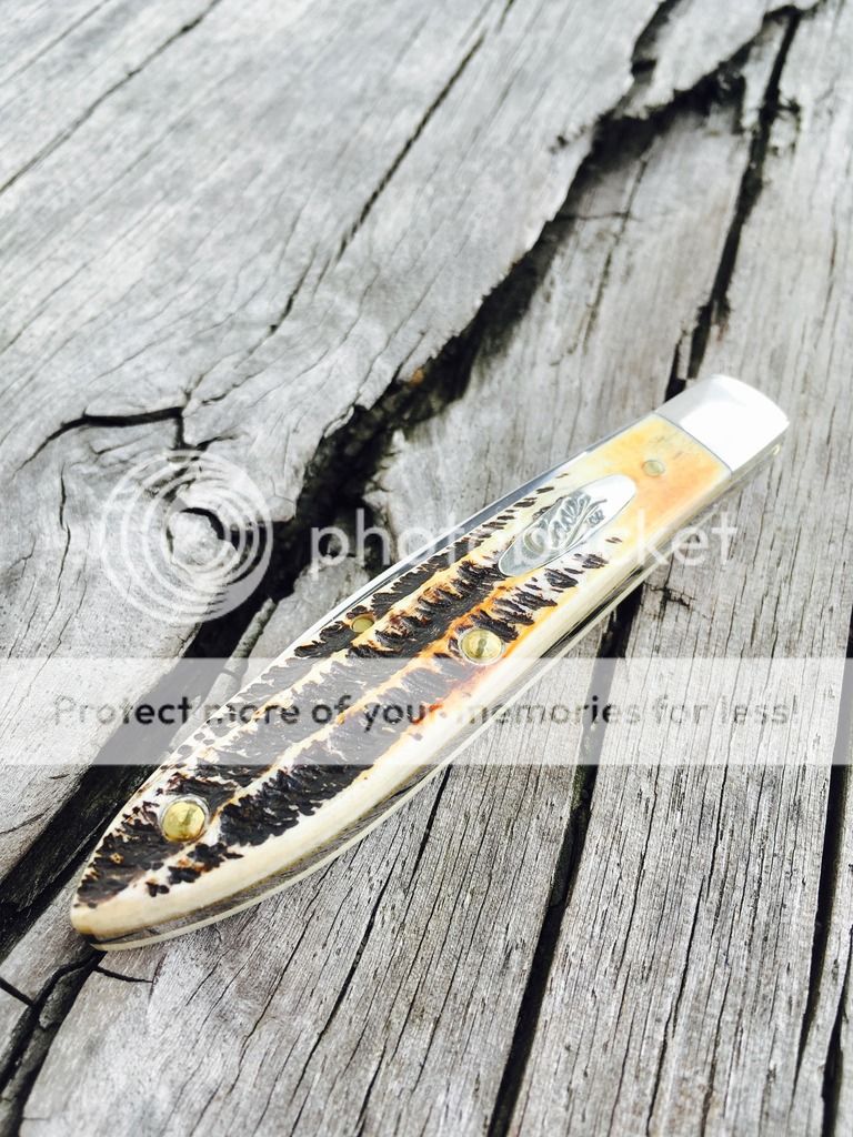 80D65ECB-023A-4CFC-B9F5-597867AF153A_zpspiixfr7k.jpg