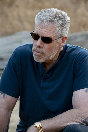 Clay-Morrow-sons-of-anarchy-13873754-333-500.jpg