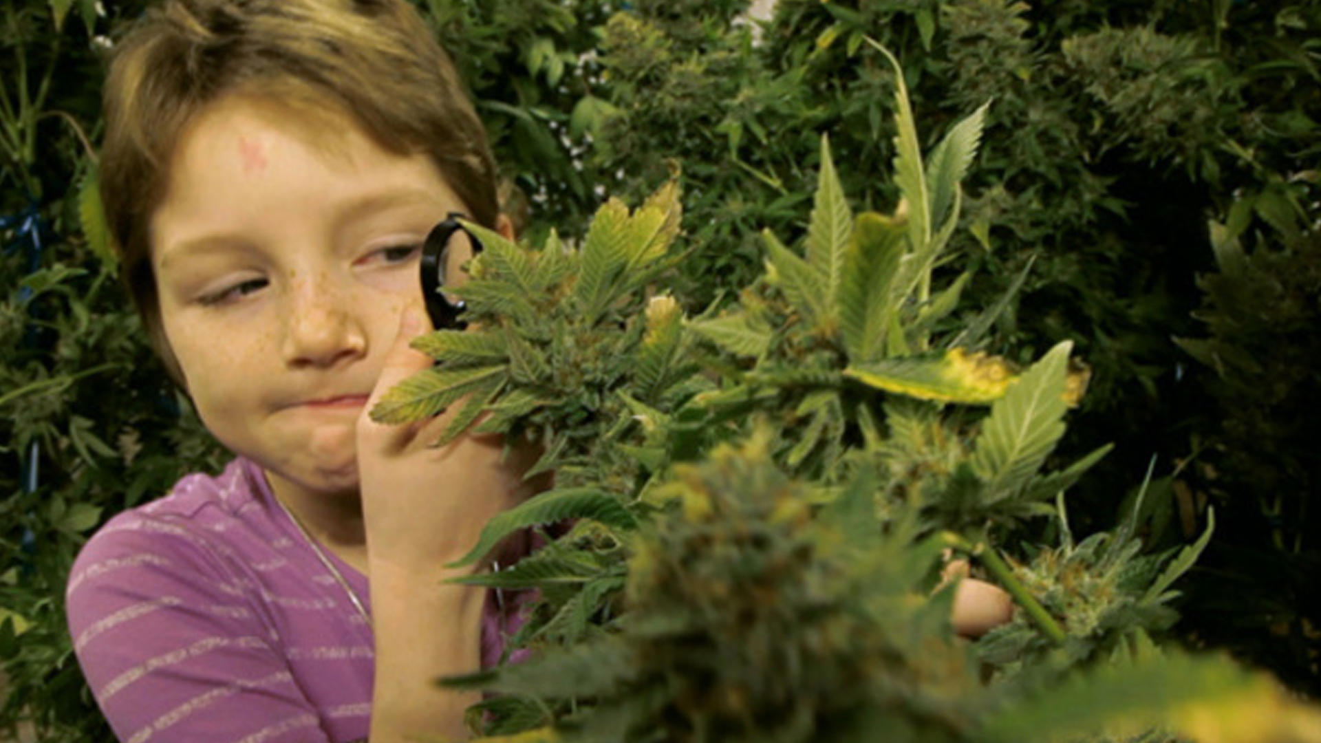 kids-cannabis.jpg