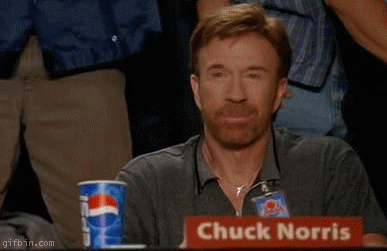 1237811519_chuck-norris-approves.gif
